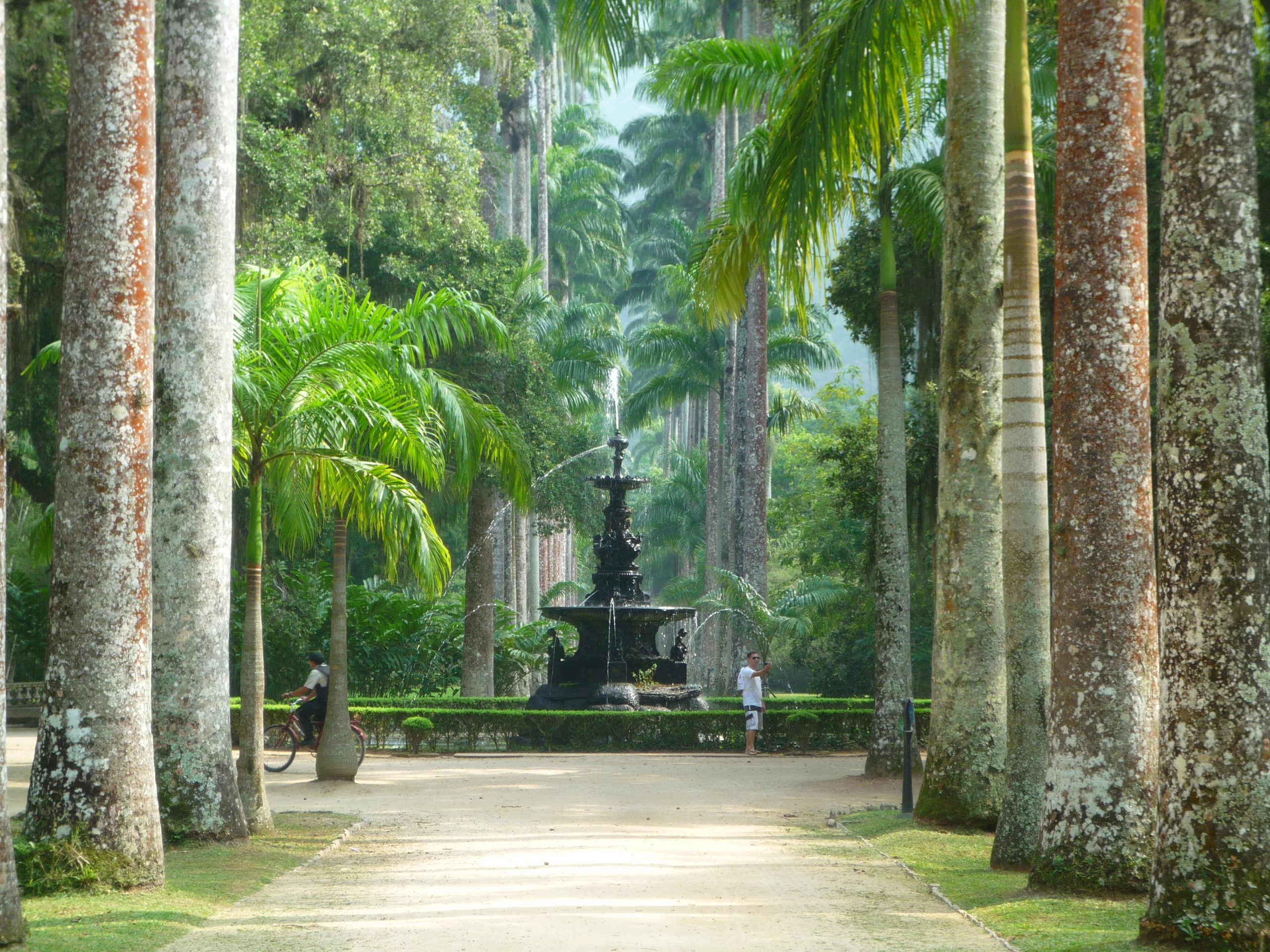 Jardim botanico de Rio de janeiro - Atelier DLV