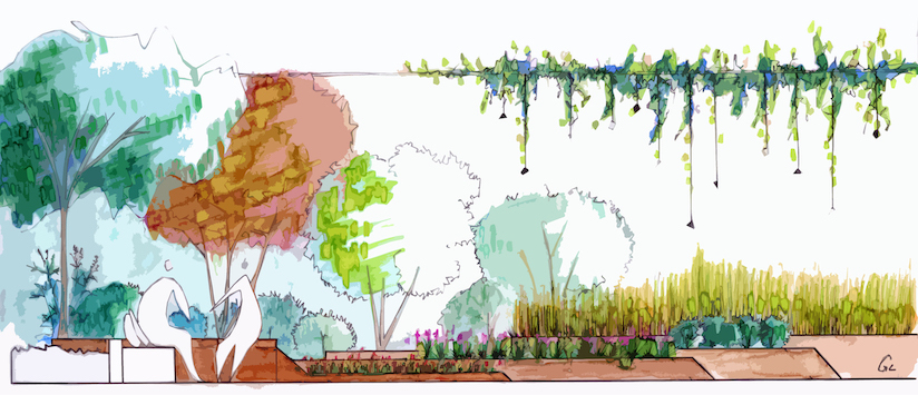 Esquisse en couleur d'un projet de jardin paysagé, avec arbres et plantations, un projet Atelier DLV, paysagiste Ile de France