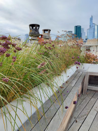 AUTOUR DE NOUS – Terrasse en rooftop Atelier-DLV Architecte-Paysagiste-concepteur jardins terrasses rooftop parcs