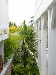 Aménagement paysager SOUVENIRS EXOTIQUES – jardin face à la mer - Carantec - Bretagne - Atelier-DLV-Architecte-Paysagiste-concepteur jardins terrasses rooftop parcs
