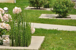 Banque populaire val de France - jardin de demain - Atelier-DLV-Architecte-Paysagiste concepteur jardins terrasses rooftop parcs