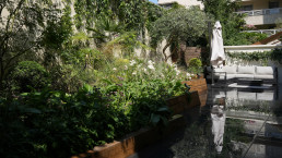 DE BOUT EN BOUT – Jardin au coeur de Paris- Atelier-DLV-Architecte-Paysagiste-concepteur jardins terrasses rooftop parcs