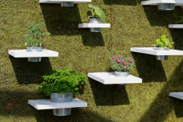 JARDINS en Seine a Suresnes - jardin de demain - Atelier-DLV Architecte-Paysagiste-concepteur jardins terrasses rooftop parcs