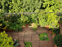 Terrasse Paris Bord de Seine SOL MAJEUR Atelier-DLV Architecte-Paysagiste-concepteur jardins terrasses rooftop parcs
